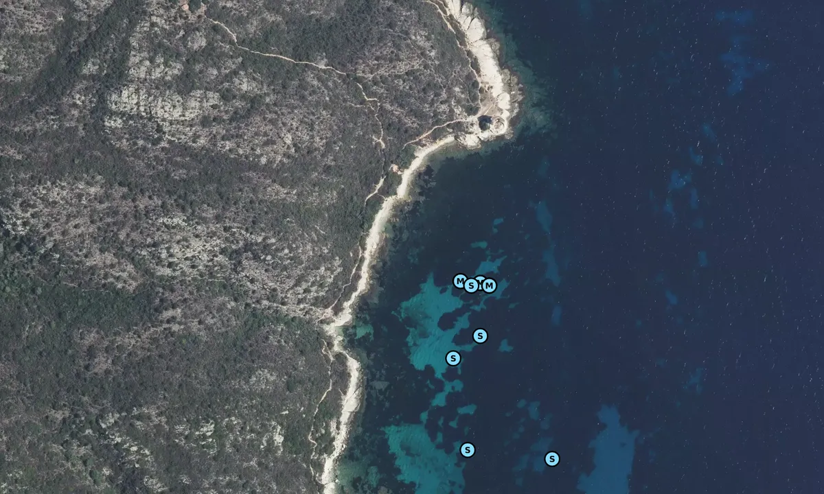 Satelite image of Mortella Tower South