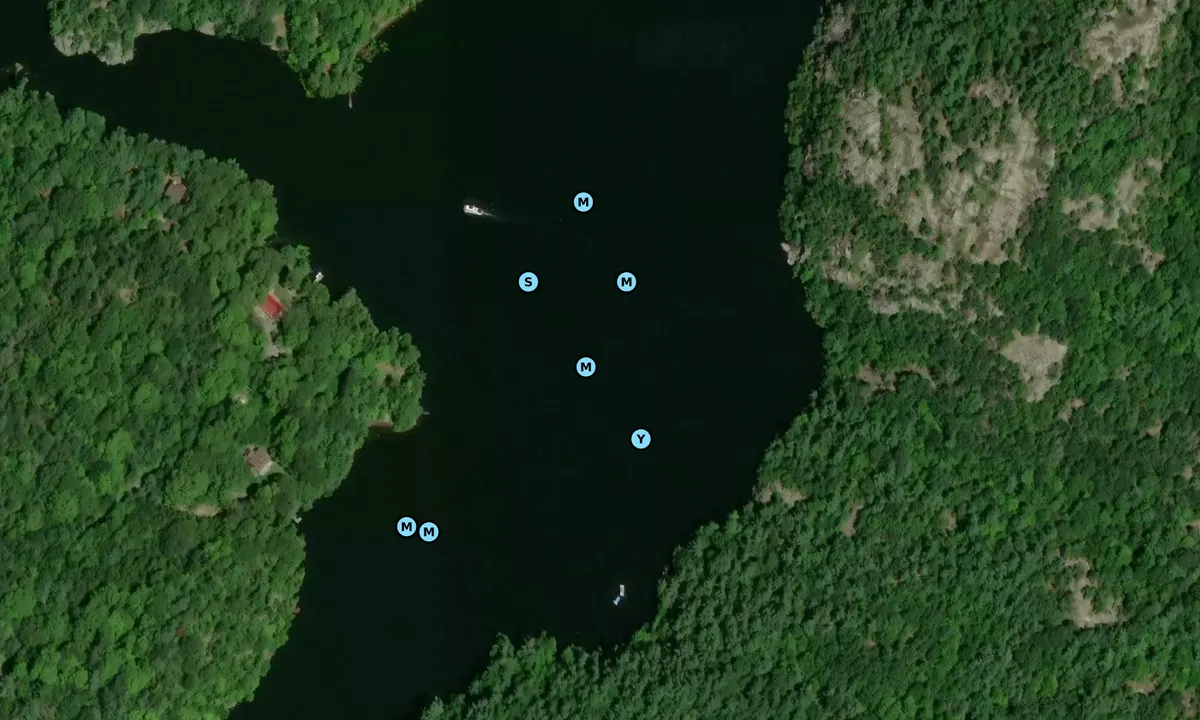 Satelite image of Morton Bay