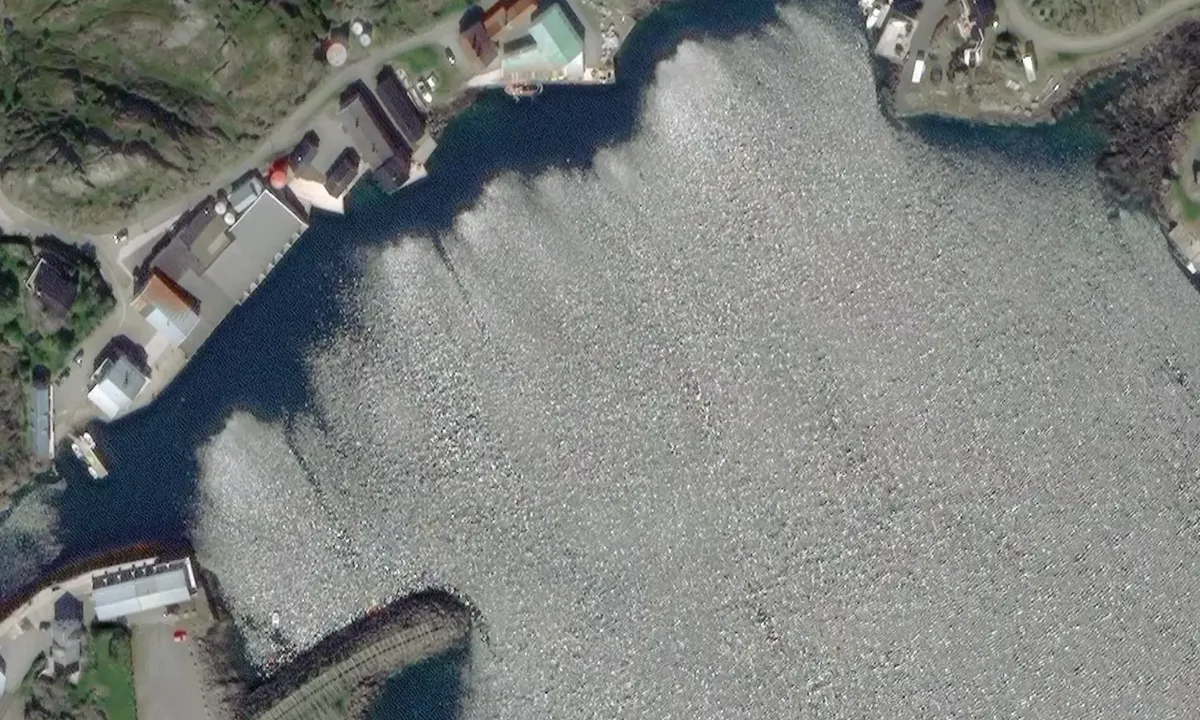 Satelite image of Mortsund