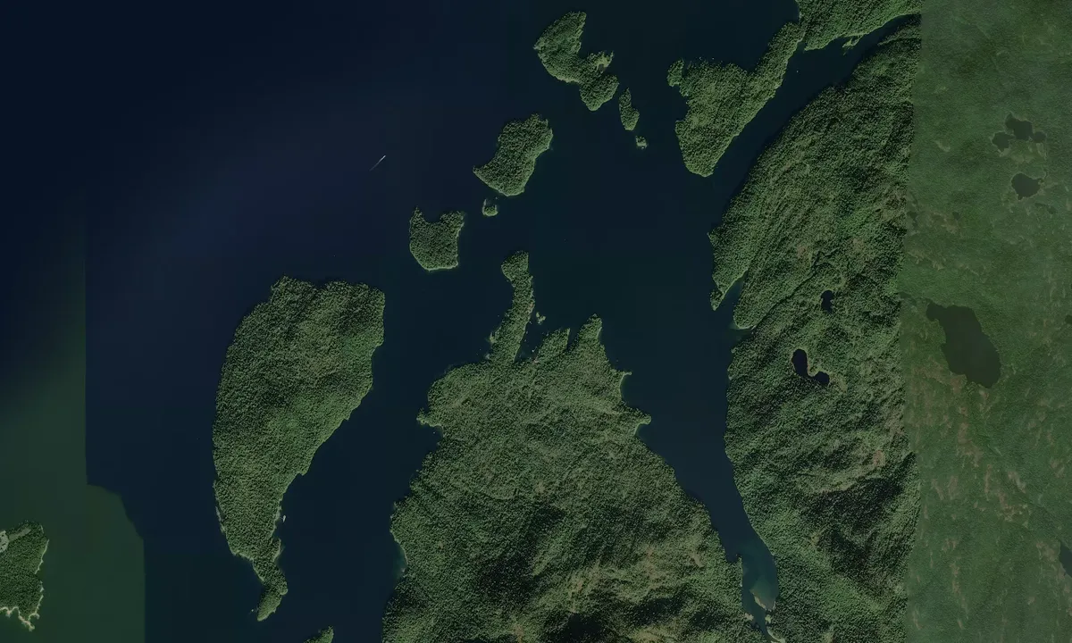 Flyfoto av Moser Bay