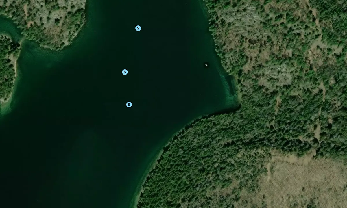 Satelite image of Mosquito Cove 1