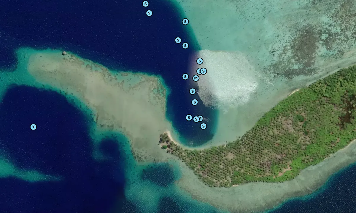 Satelite image of Motu Tipaemaua