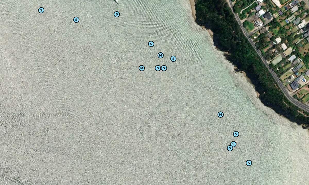 Satelite image of Mount Martha