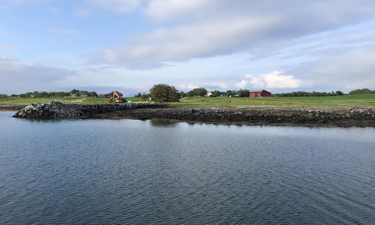 Nord i Brakholmen, og særig inne på det grunne området, ligger du tett på aktiv landbruksdrift.