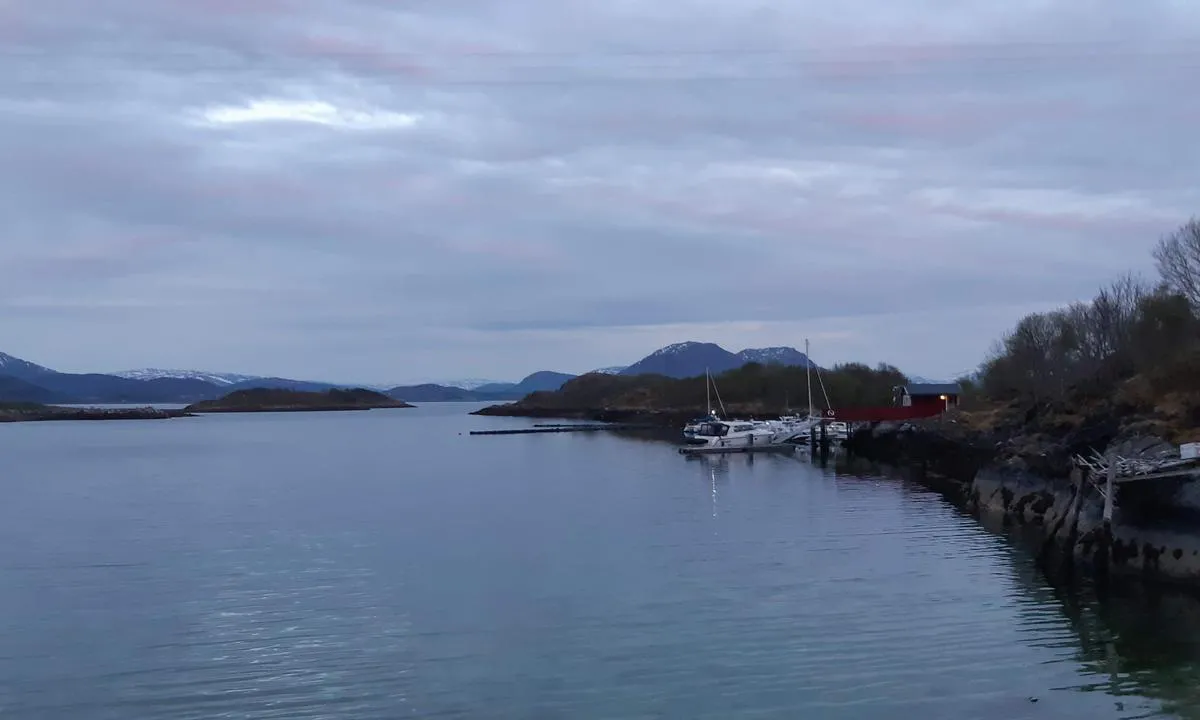 Møyhamna: Bilde er tatt fra veien og viser havnen.