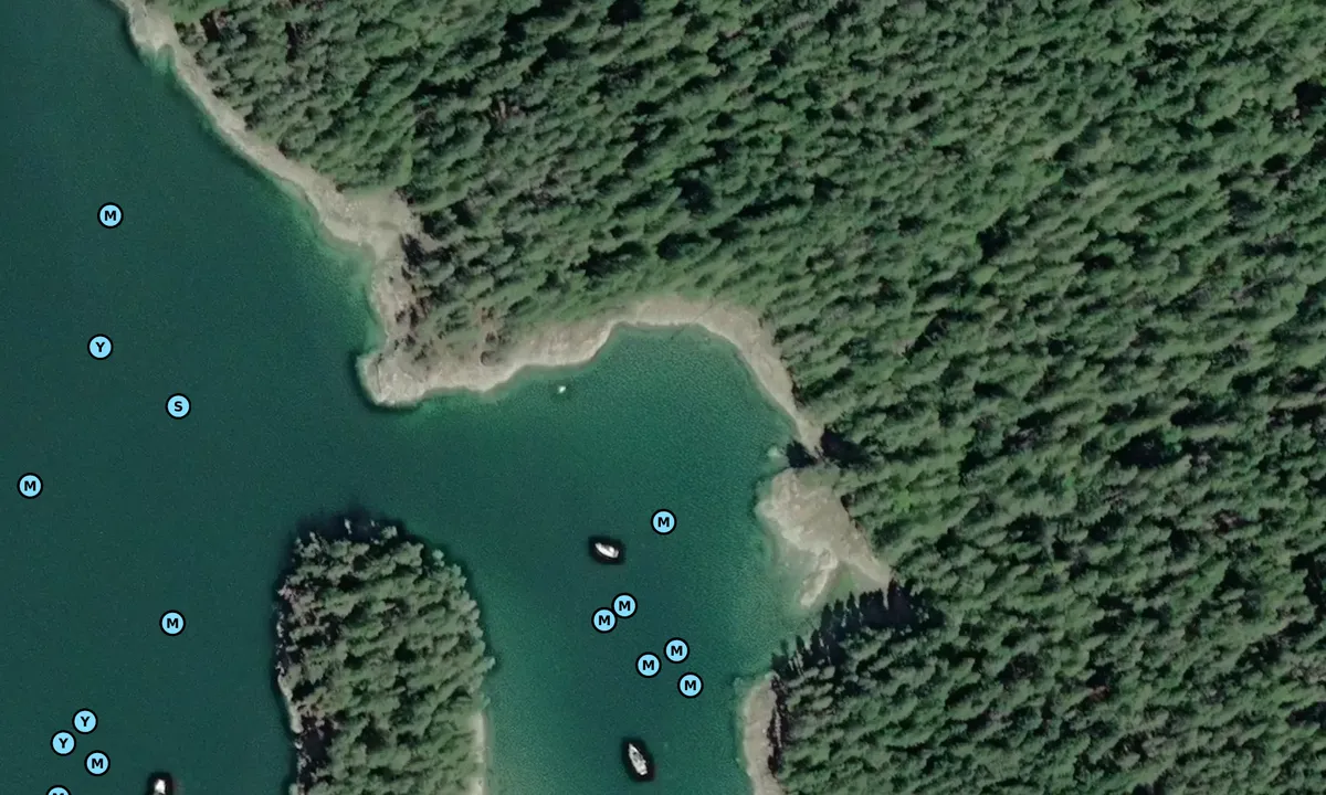 Satelite image of Mud Bay 2