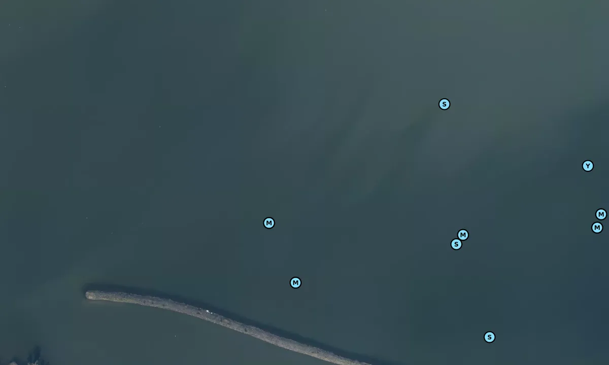 Satelite image of Muiden anchorage