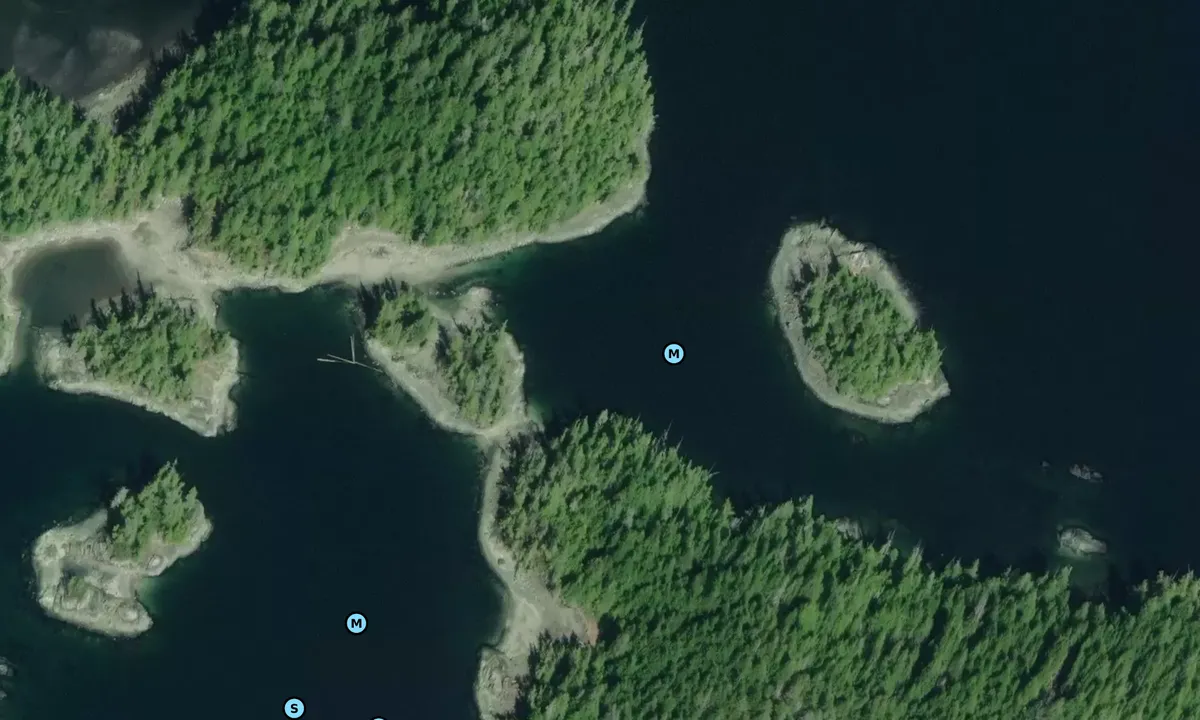 Satelite image of Muirhead Islands (North Cove)