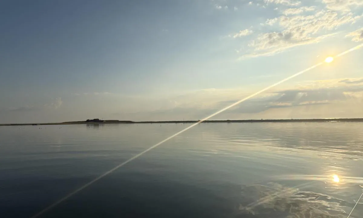 Musholm Bugt bouy: {"base": "no", "no": "Mot sydvest", "se": "Mot sydv\u00e4st", "en": "Towards southwest", "da": "Mod sydvest", "fr": "Vers le sud-ouest", "de": "Richtung S\u00fcdwesten", "es": "Hacia suroeste", "it": "Verso sud-ovest", "pt": "Para sudoeste", "nl": "Naar het zuidwesten", "pl": "Na po\u0142udniowy zach\u00f3d", "uk": "\u041d\u0430 \u043f\u0456\u0432\u0434\u0435\u043d\u043d\u0438\u0439 \u0437\u0430\u0445\u0456\u0434", "ro": "Spre sud-vest", "tr": "G\u00fcneybat\u0131ya do\u011fru", "el": "\u03a0\u03c1\u03bf\u03c2 \u03bd\u03bf\u03c4\u03b9\u03bf\u03b4\u03c5\u03c4\u03b9\u03ba\u03ac", "cs": "Sm\u011brem na jihoz\u00e1pad", "hu": "D\u00e9l-nyugati ir\u00e1nyba", "fi": "Lounaiseen", "bg": "\u041a\u044a\u043c \u044e\u0433\u043e\u0437\u0430\u043f\u0430\u0434", "sr": "Ka jugozapadu", "et": "L\u00f5una edela suunas", "lv": "Pret dienvidrietumiem", "lt": "\u012e pietvakarius"}
