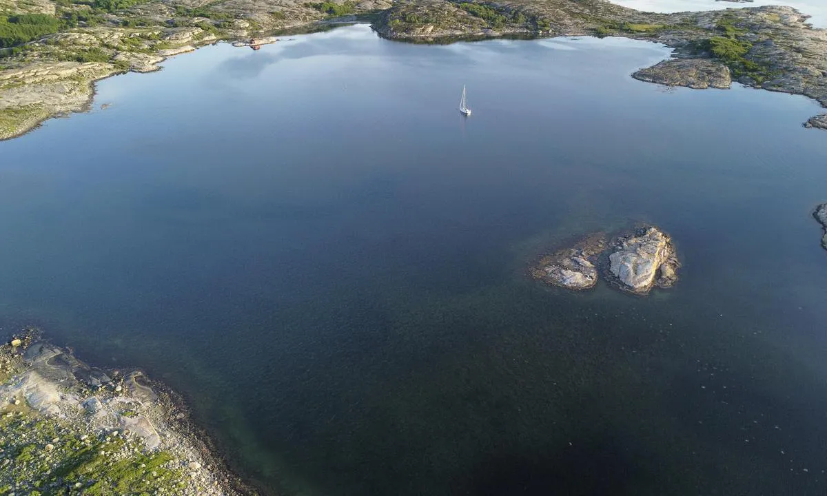 Musön - SXK Västkust bouy: {"base": "en", "no": "Ankringsplassen og b\u00f8yer ved Mus\u00f6n ligger bak en grunn innseiling.", "se": "Ankringsplatsen och bojarnas placering vid Mus\u00f6n ligger bakom en grund ing\u00e5ng.", "en": "The anchorage and bouys at Mus\u00f6n are located behind a shallow entrance.", "da": "Ankerpladsen og b\u00f8jerne ved Mus\u00f6n er placeret bag en lav indsejling."}