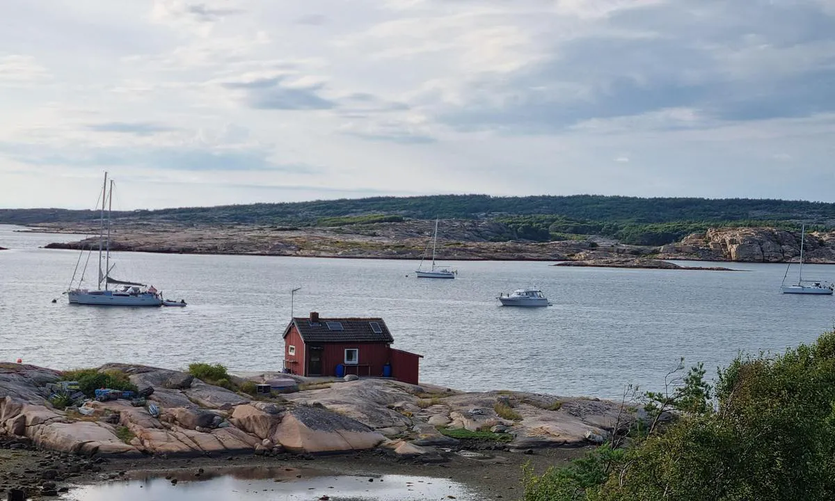 Musön - SXK Västkust bouy: {"base": "no", "no": "Godt feste for anker i denne bukta p\u00e5 5 meters dybde.", "se": "Gott f\u00e4ste f\u00f6r ankare i denna bukten p\u00e5 5 meters djup.", "en": "Good anchorage in this bay at a depth of 5 meters.", "da": "Godt f\u00e6ste for anker i denne bugt p\u00e5 5 meters dybde."}