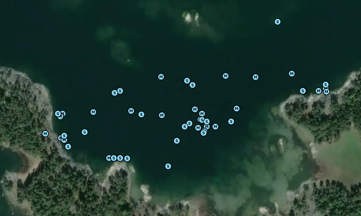 Satelite image of Myrängsflacket