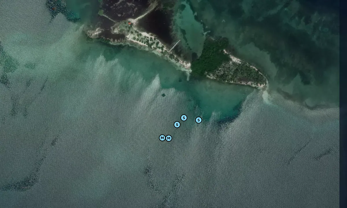 Satelite image of Myriadup