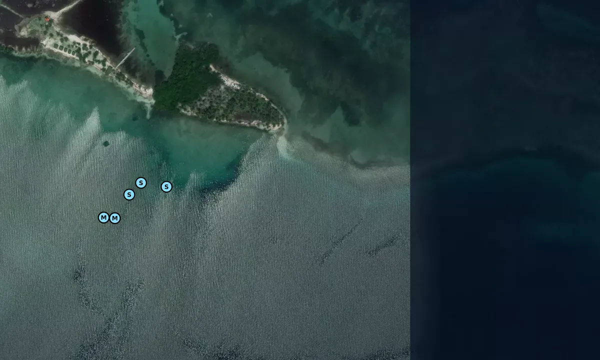 Satelite image of Myriadup East