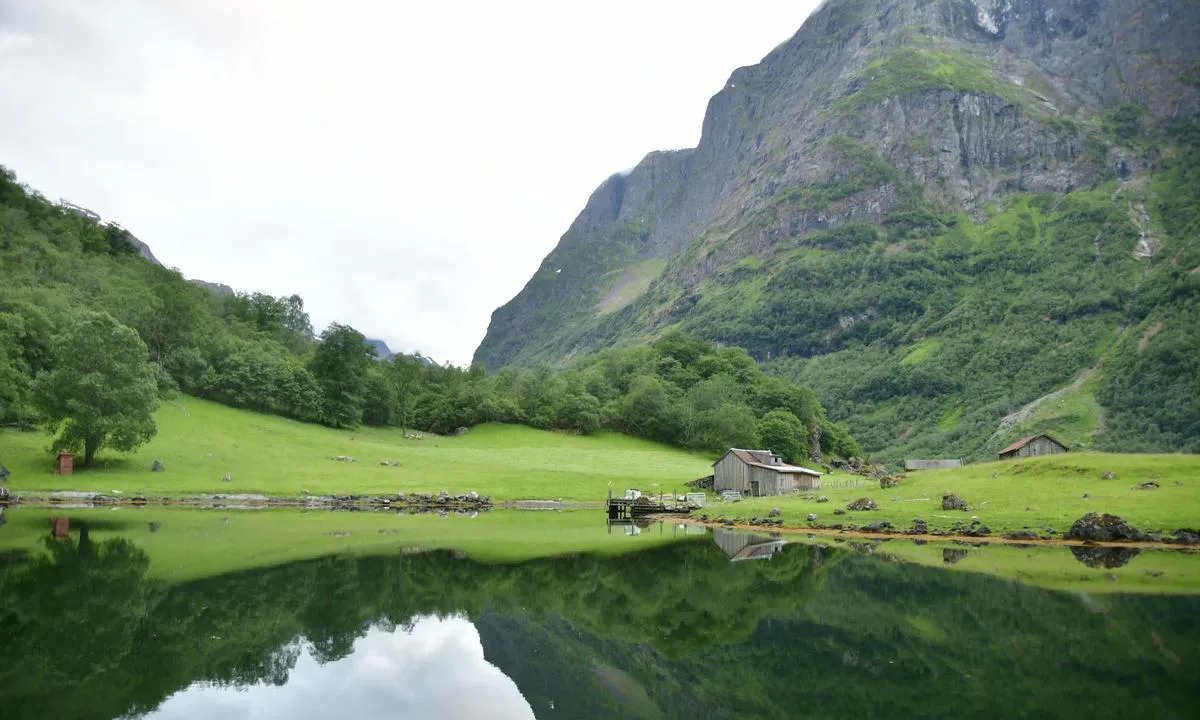 Nærøyfjorden, Holmaviki: Holmo