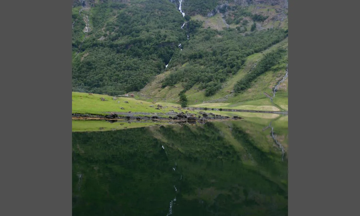 Nærøyfjorden, Holmaviki