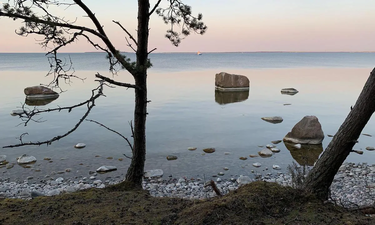 Naissaare Sadam: {"base": "en", "no": "\u00d8ya er full av sandstier.", "se": "\u00d6n \u00e4r full av sandiga stigar.", "en": "The island is full of sandy paths.", "da": "\u00d8en er fuld af sandstier.", "fr": "L'\u00eele est pleine de sentiers sableux.", "de": "Die Insel ist voller sandiger Wege.", "es": "La isla est\u00e1 llena de senderos arenosos.", "it": "L'isola \u00e8 piena di sentieri sabbiosi.", "pt": "A ilha est\u00e1 cheia de caminhos arenosos.", "nl": "Het eiland is vol met zandige paden.", "pl": "Wyspa jest pe\u0142na piaszczystych \u015bcie\u017cek.", "uk": "\u041e\u0441\u0442\u0440\u0456\u0432 \u0432\u0449\u0435\u0440\u0442\u044c \u0443\u0441\u0456\u044f\u043d\u0438\u0439 \u043f\u0456\u0449\u0430\u043d\u0438\u043c\u0438 \u0434\u043e\u0440\u0456\u0436\u043a\u0430\u043c\u0438.", "ro": "Insula este plin\u0103 de poteci nisipoase.", "tr": "Ada, kumlu patikalarla doludur.", "el": "\u03a4\u03bf \u03bd\u03b7\u03c3\u03af \u03b5\u03af\u03bd\u03b1\u03b9 \u03b3\u03b5\u03bc\u03ac\u03c4\u03bf \u03b1\u03c0\u03cc \u03b1\u03bc\u03bc\u03ce\u03b4\u03b7 \u03bc\u03bf\u03bd\u03bf\u03c0\u03ac\u03c4\u03b9\u03b1.", "cs": "Ostrov je pln\u00fd p\u00eds\u010dit\u00fdch cest.", "hu": "A sziget tele van homokos \u00f6sv\u00e9nyekkel.", "fi": "Saari on t\u00e4ynn\u00e4 hiekkapolkuja.", "bg": "\u041e\u0441\u0442\u0440\u043e\u0432\u044a\u0442 \u0435 \u043f\u044a\u043b\u0435\u043d \u0441 \u043f\u044f\u0441\u044a\u0447\u043d\u0438 \u043f\u044a\u0442\u0435\u043a\u0438.", "sr": "Ostrvo je puno pe\u0161\u010danih staza.", "et": "Saar on t\u00e4is liivaseid teid.", "lv": "Sala ir pilna ar smil\u0161u tak\u0101m.", "lt": "Sala yra pilna sm\u0117l\u0117t\u0173 tak\u0173."}