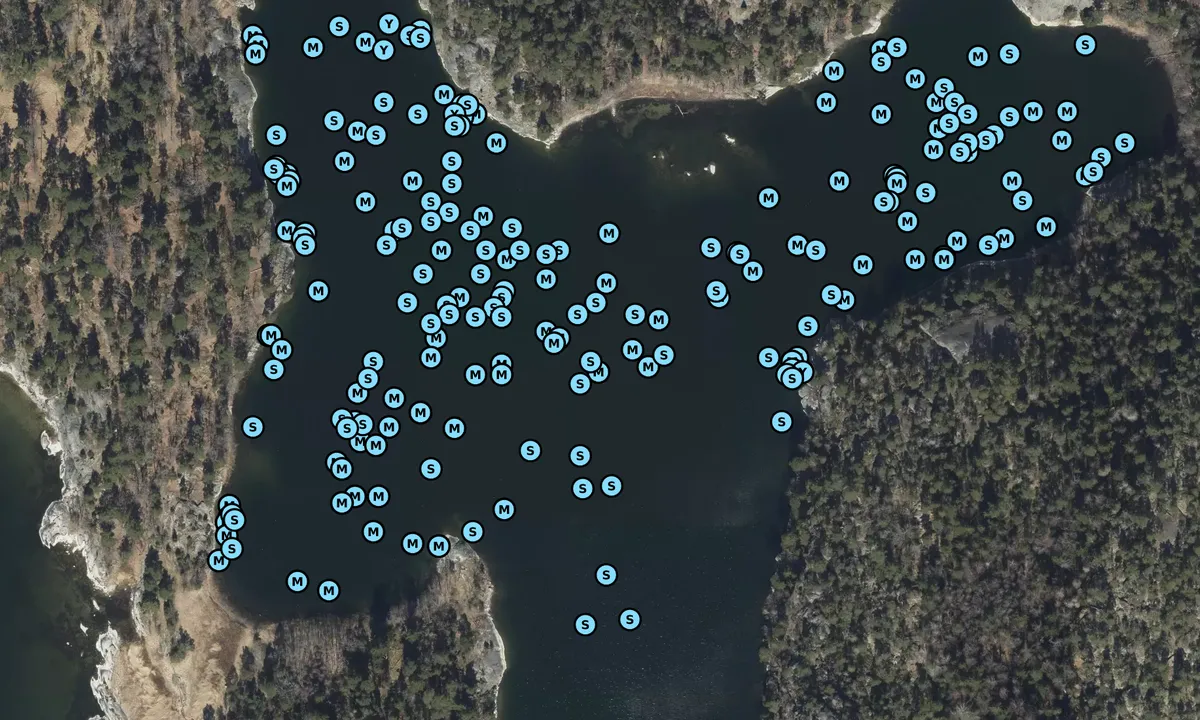 Satelite image of Napoleonviken