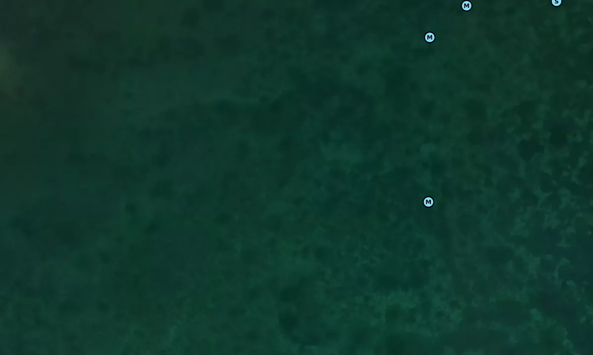 Satelite image of Narrow Point