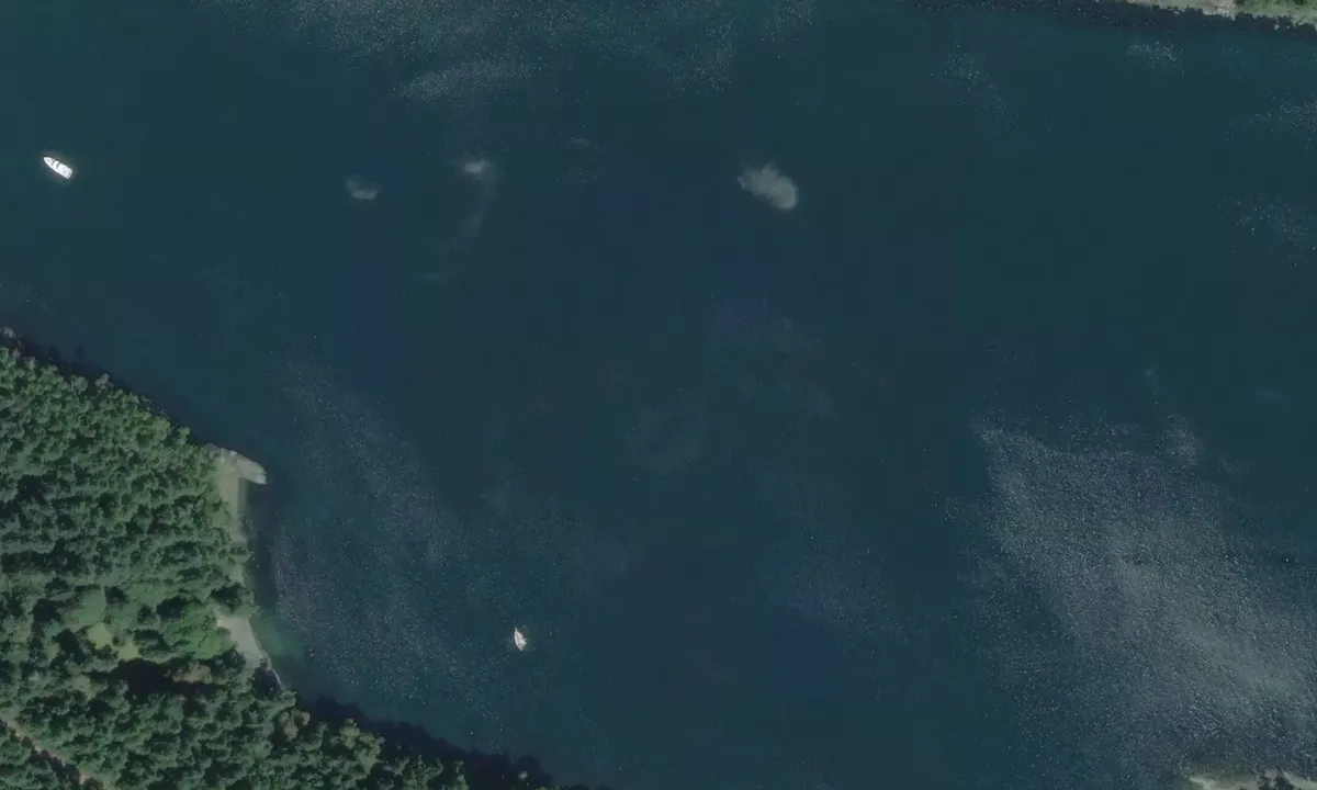 Flyfoto av Narvaez Bay