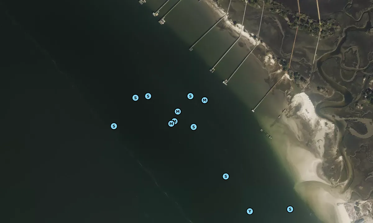 Satelite image of Nassau Sound