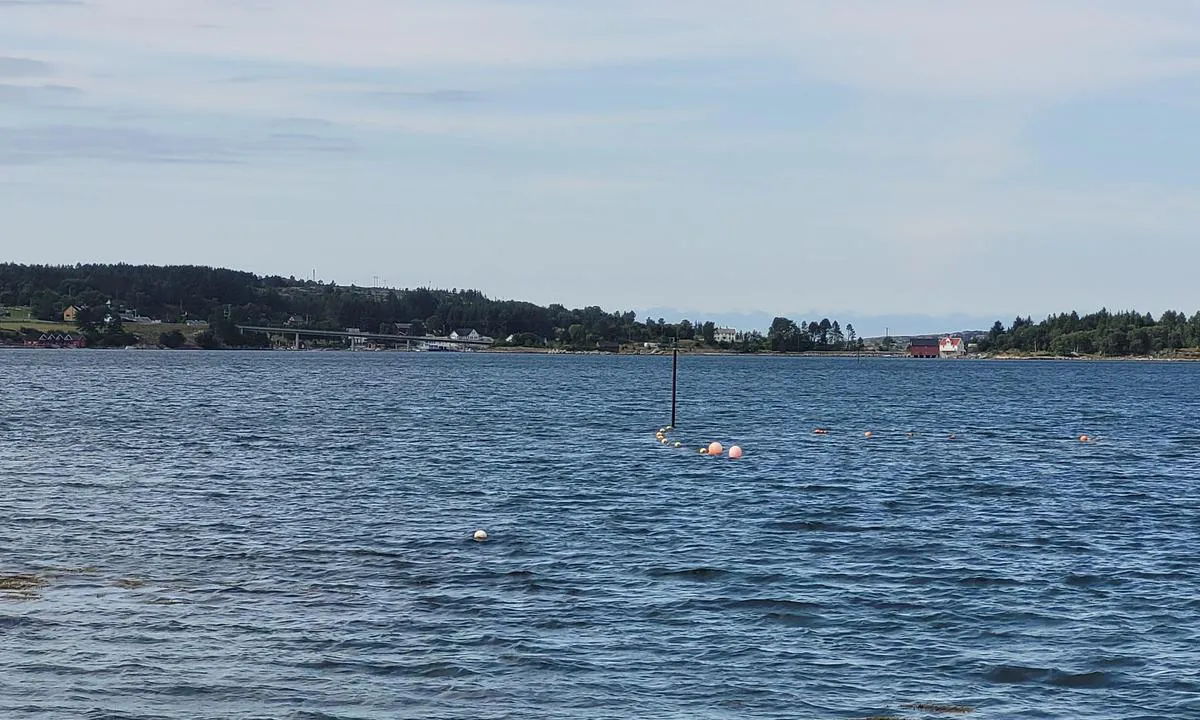 Naustvollan Småbåthavn: {"base": "no", "no": "Grunnen utenfor moloen er godt merket med bl\u00e5ser", "se": "Grunden utanf\u00f6r piren \u00e4r v\u00e4l markerad med bojar", "en": "The shallow area outside the breakwater is well marked with buoys.", "da": "Grunden uden for molen er godt markeret med b\u00f8jer"}