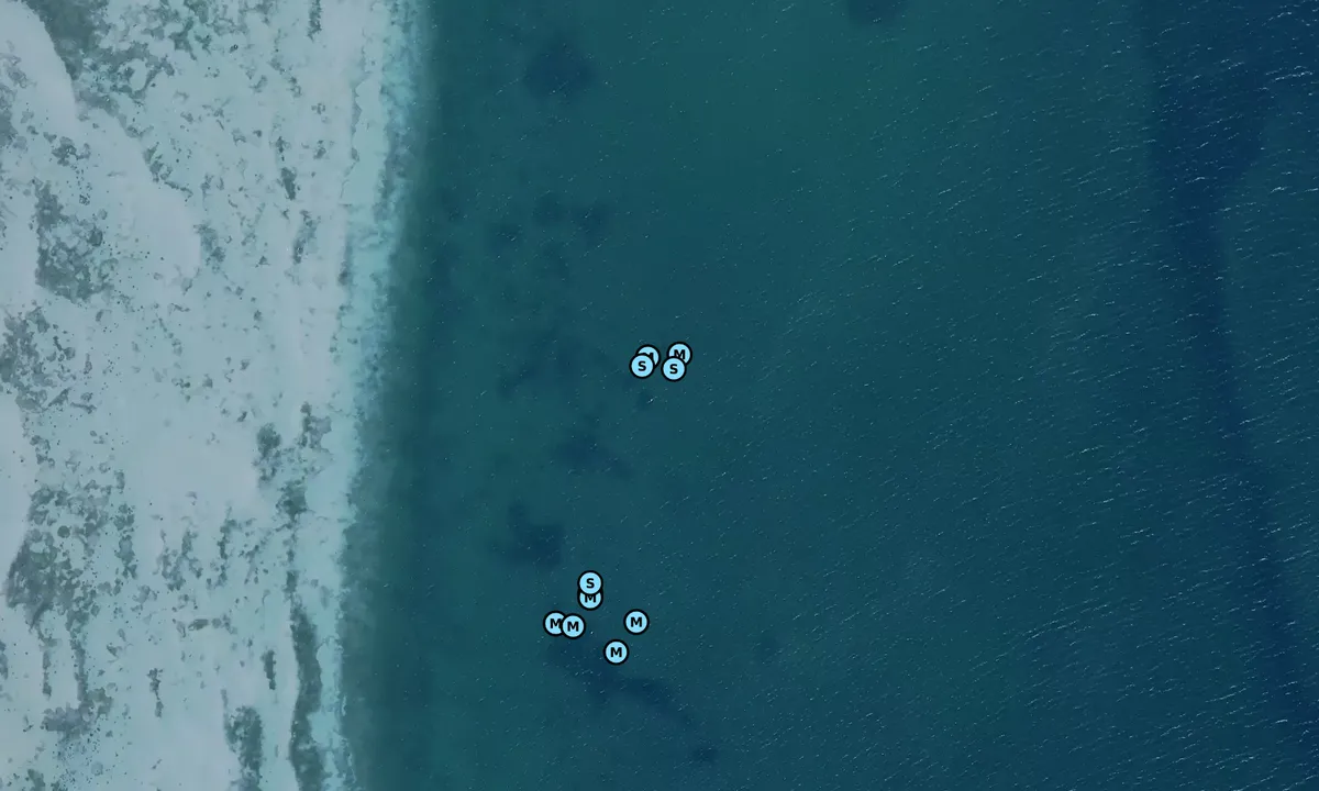 Satelite image of Nekselø N bouy