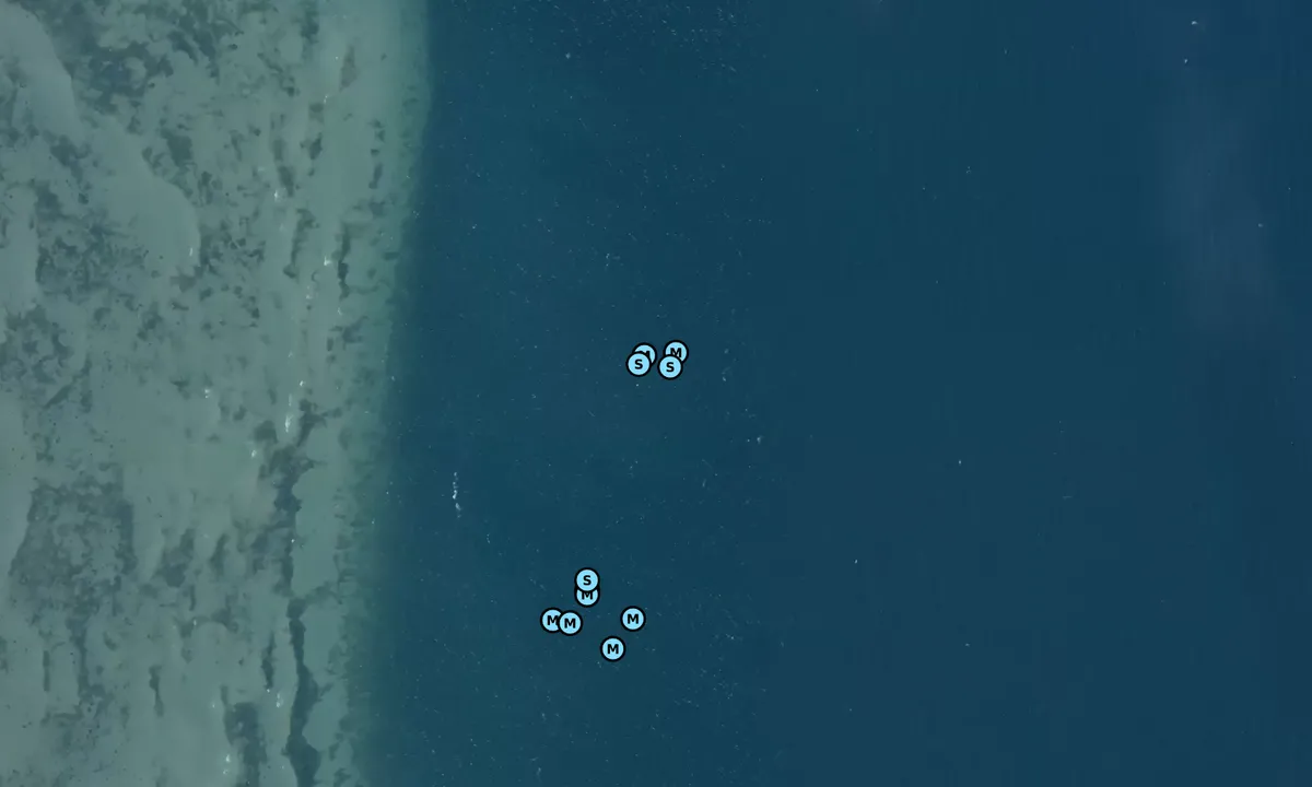 Satelite image of Nekselø N bouy