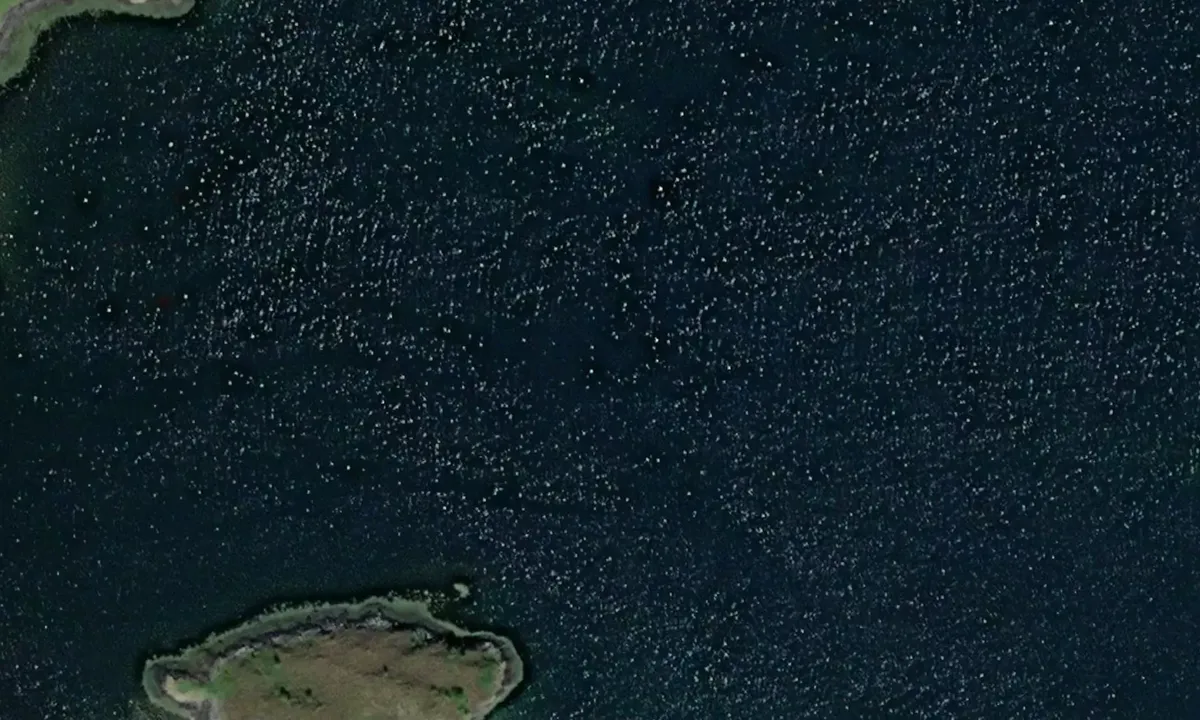 Satelite image of Nerdvika - Smøla