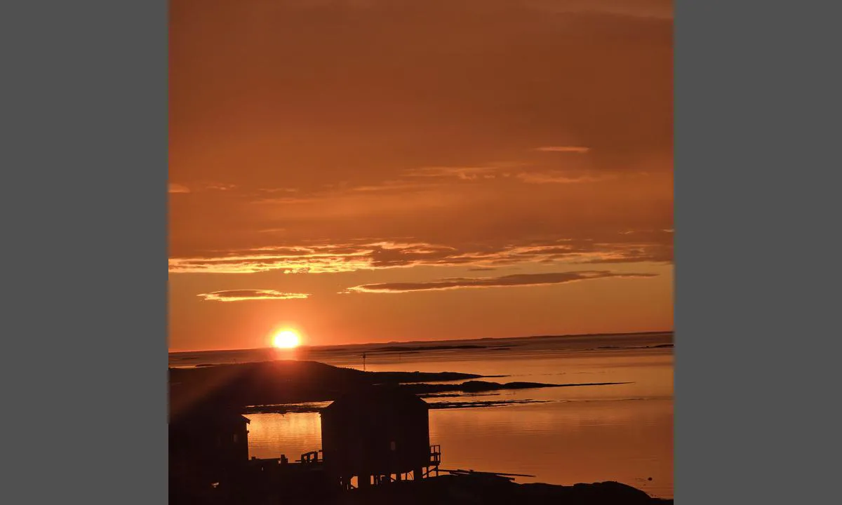 Nes Private Havn - Vega: {"base": "no", "no": "Solnedgang fra kaiomr\u00e5de", "se": "Solnedg\u00e5ng fr\u00e5n kajomr\u00e5de", "en": "Sunset from the quay area", "da": "Solnedgang fra kajomr\u00e5de"}