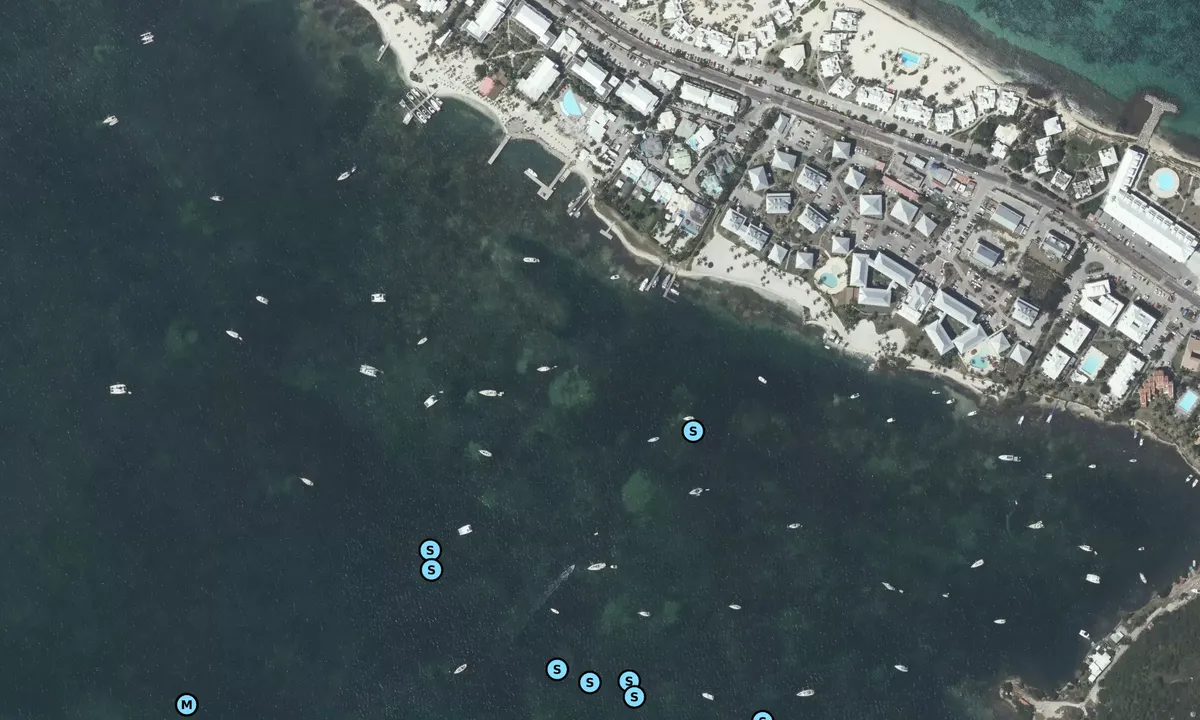 Satelite image of Nettle Bay