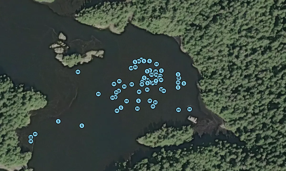 Satelite image of Nettle Island