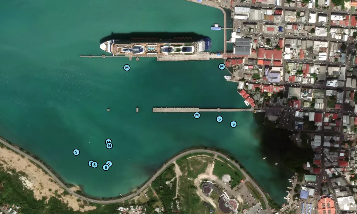 Satelite image of Nevis Street Pier
