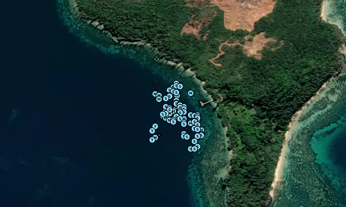 Satelite image of New Caledonia