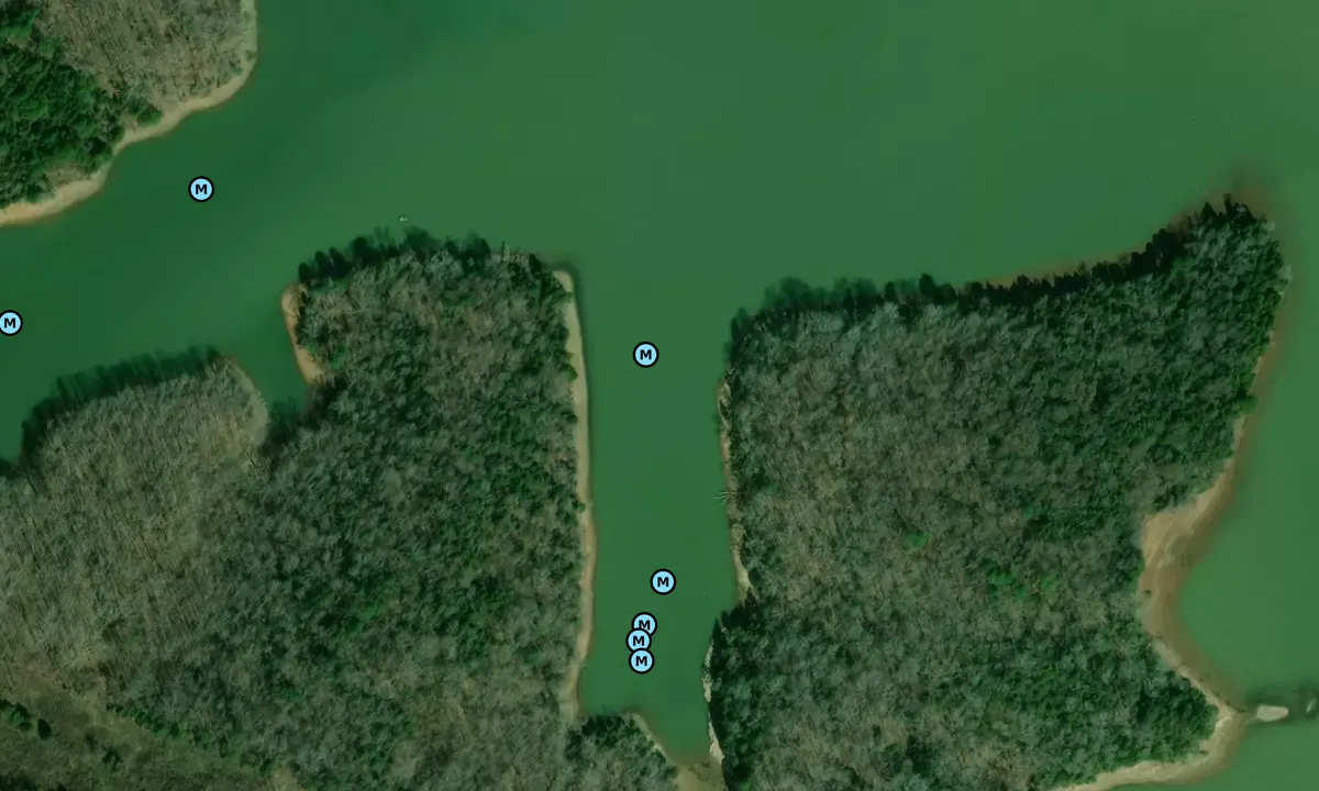 Satelite image of New Dixie Cove