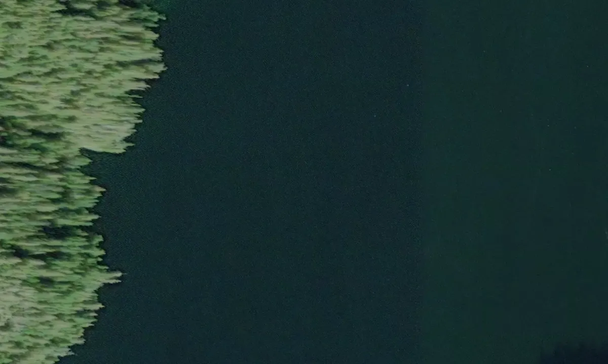 Satelite image of Newcombe Harbour