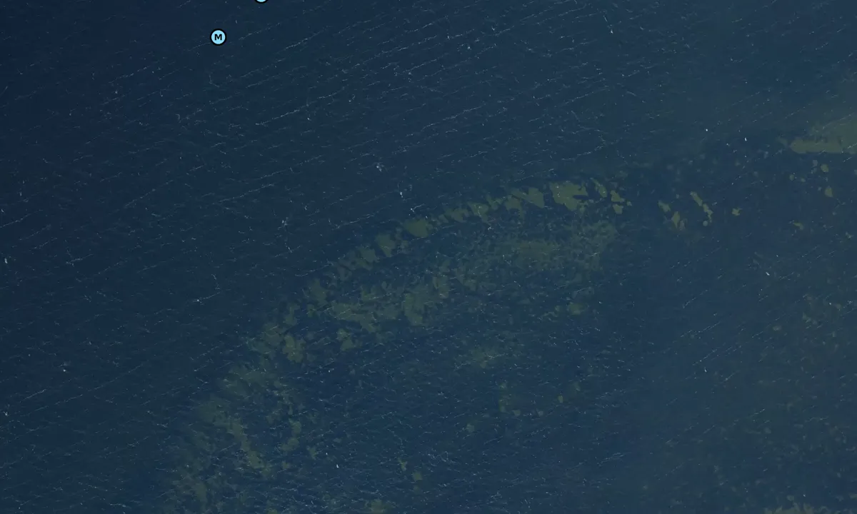 Satelite image of Nibe Bredning bouy