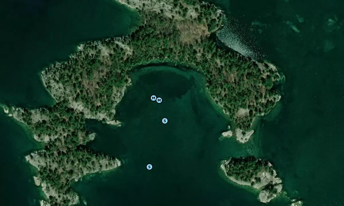 Satelite image of Nicholls Bay