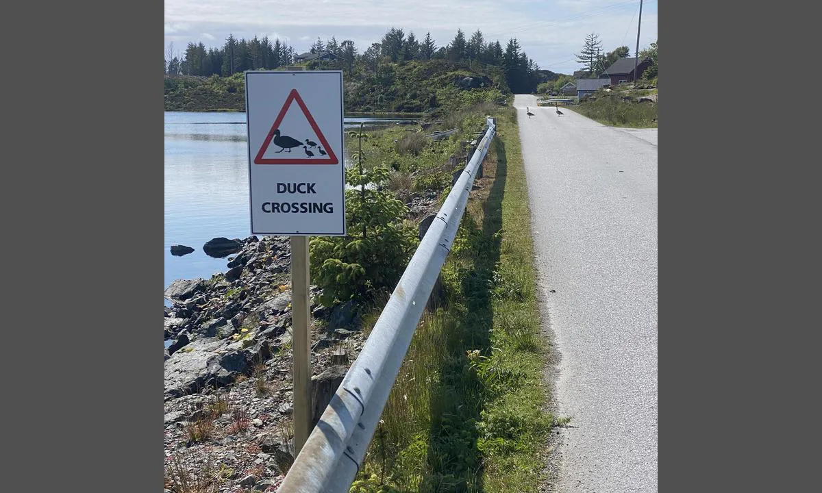 Nikøy - Bulandet
