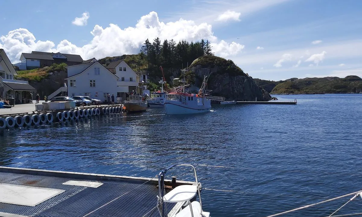 A.L. Waage Landhandel: {"base": "no", "no": "Fiskeb\u00e5ter som leverer fangsten ved fiskemottaket.", "se": "Fiskeb\u00e5tar som levererar f\u00e5ngsten vid fiskmottagningen.", "en": "Fishing boats delivering their catch at the fish landing facility.", "da": "Fiskeb\u00e5de, der leverer fangsten ved fiskemodtagelsen."}