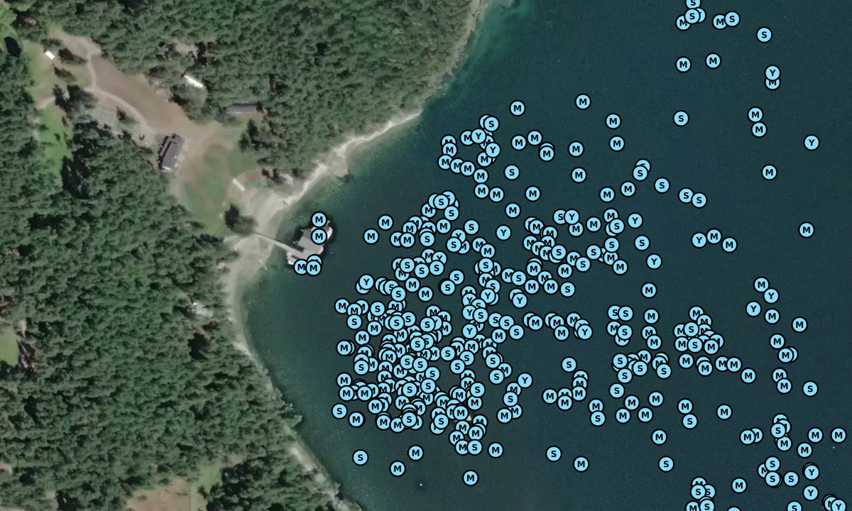 Satelite image of No Name Bay - Deer Harbor
