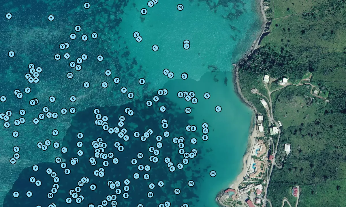 Satelite image of Non windy part of grand case