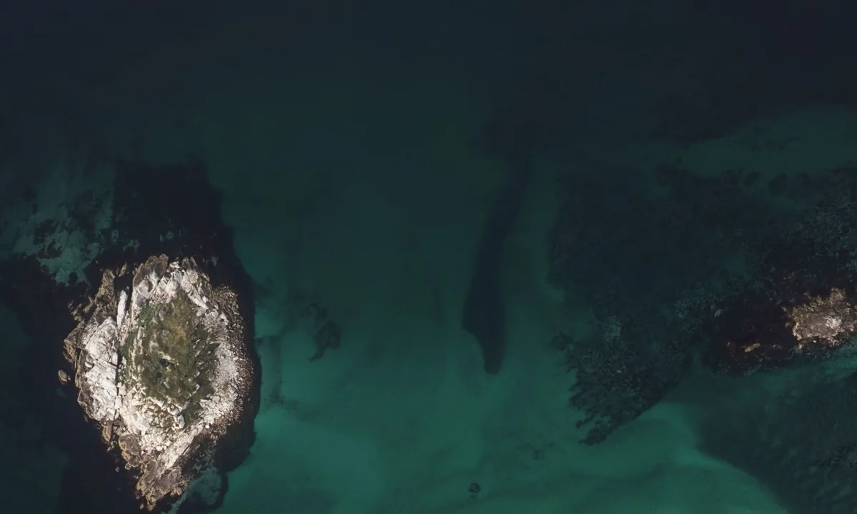 Flyfoto av Nonsholmen