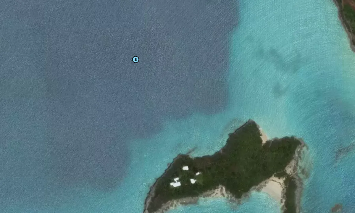 Satelite image of Nonsuch Island