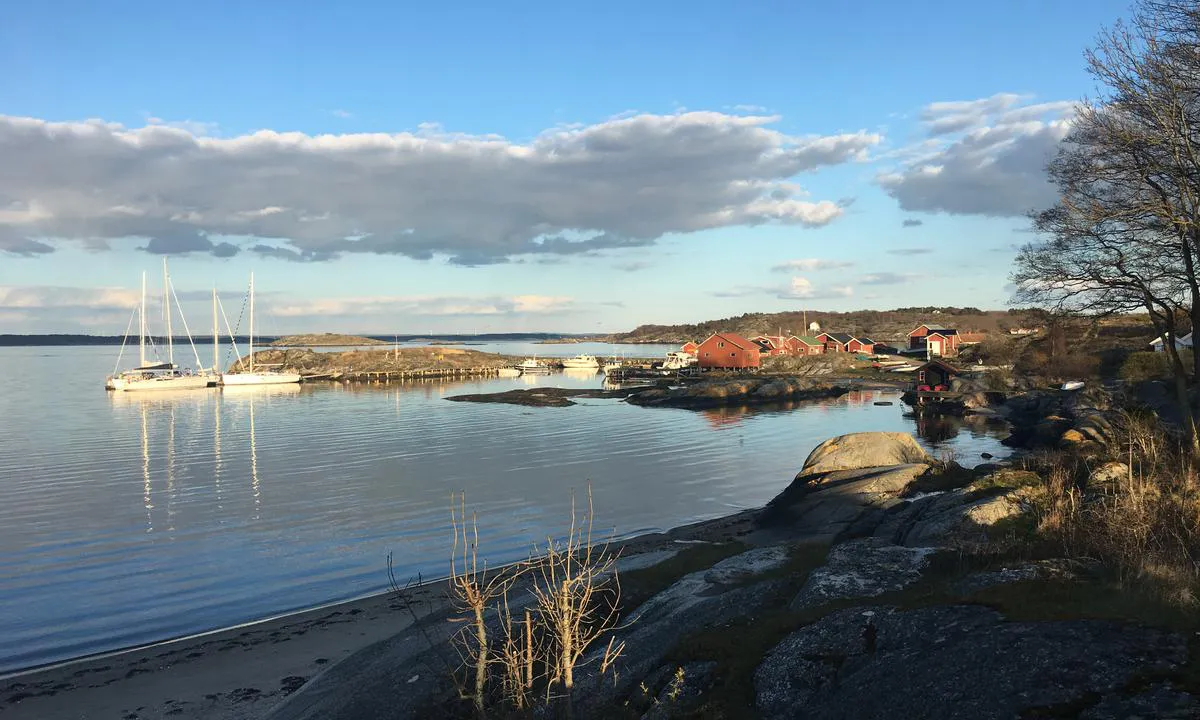 Nord-Koster Vättnet: {"base": "no", "no": "Bildet er tatt f\u00f8r havna ble bygget om.  Flytebryggene ligger derfor litt anderledes n\u00e5.\r\nInnedrtst i havna (til h\u00f8yre i bildet) er det uforandret.  Her ligger du trygt i alle vinder og med baug mot land.  Usikker p\u00e5 dybde innerst i havna, men har sett relativt store seilb\u00e5ter her.", "se": "Bilden \u00e4r tagen innan hamnen byggdes om. Flytbryggorna ligger d\u00e4rf\u00f6r lite annorlunda nu. Innerst i hamnen (till h\u00f6ger i bilden) \u00e4r det of\u00f6r\u00e4ndrat. H\u00e4r ligger du tryggt i alla vindar och med bogen mot land. Os\u00e4ker p\u00e5 djupet innerst i hamnen, men har sett relativt stora segelb\u00e5tar h\u00e4r.", "en": "The picture was taken before the harbor was rebuilt. The floating docks are therefore arranged a bit differently now. The innermost part of the harbor (to the right in the picture) is unchanged. Here you lie safely in all winds and with the bow towards the land. Uncertain about the depth at the innermost part of the harbor, but have seen relatively large sailboats here.", "da": "Billedet er taget, f\u00f8r havnen blev ombygget. <br> Flydebroerne ligger derfor lidt anderledes nu.<br> Inderst i havnen (til h\u00f8jre i billedet) er det uforandret.<br> Her ligger du sikkert i alle vinde og med bov mod land.<br> Usikker p\u00e5 dybden inderst i havnen, men har set relativt store sejlskibe her."}