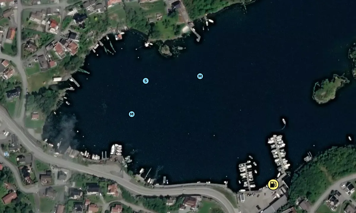 Satelite image of Nordalsvågen