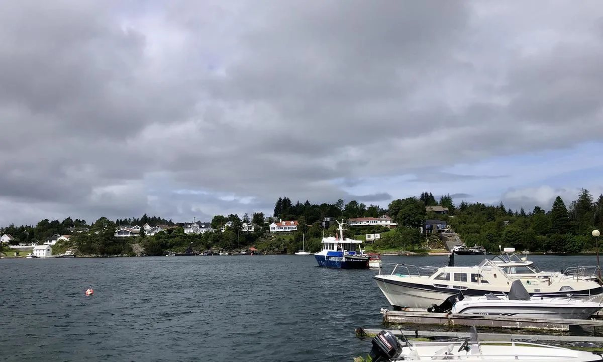 Nordalsvågen