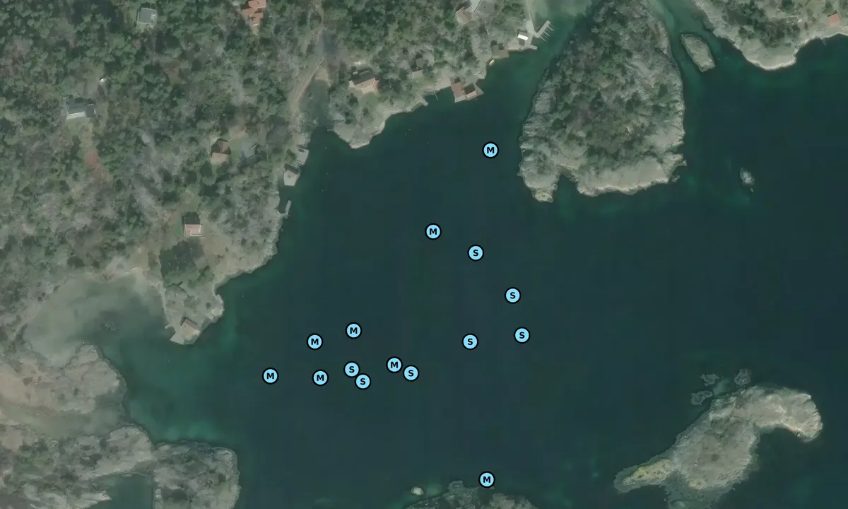 Satelite image of Nordmannsviga