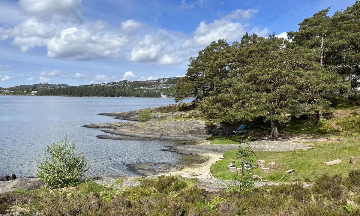 Nordåsvannet Marmorøyene: {"base": "no", "no": "Flere fine lune viker.", "se": "Flera fina lugna vikar.", "en": "Several fine sheltered coves.", "da": "Flere fine lune vige."}