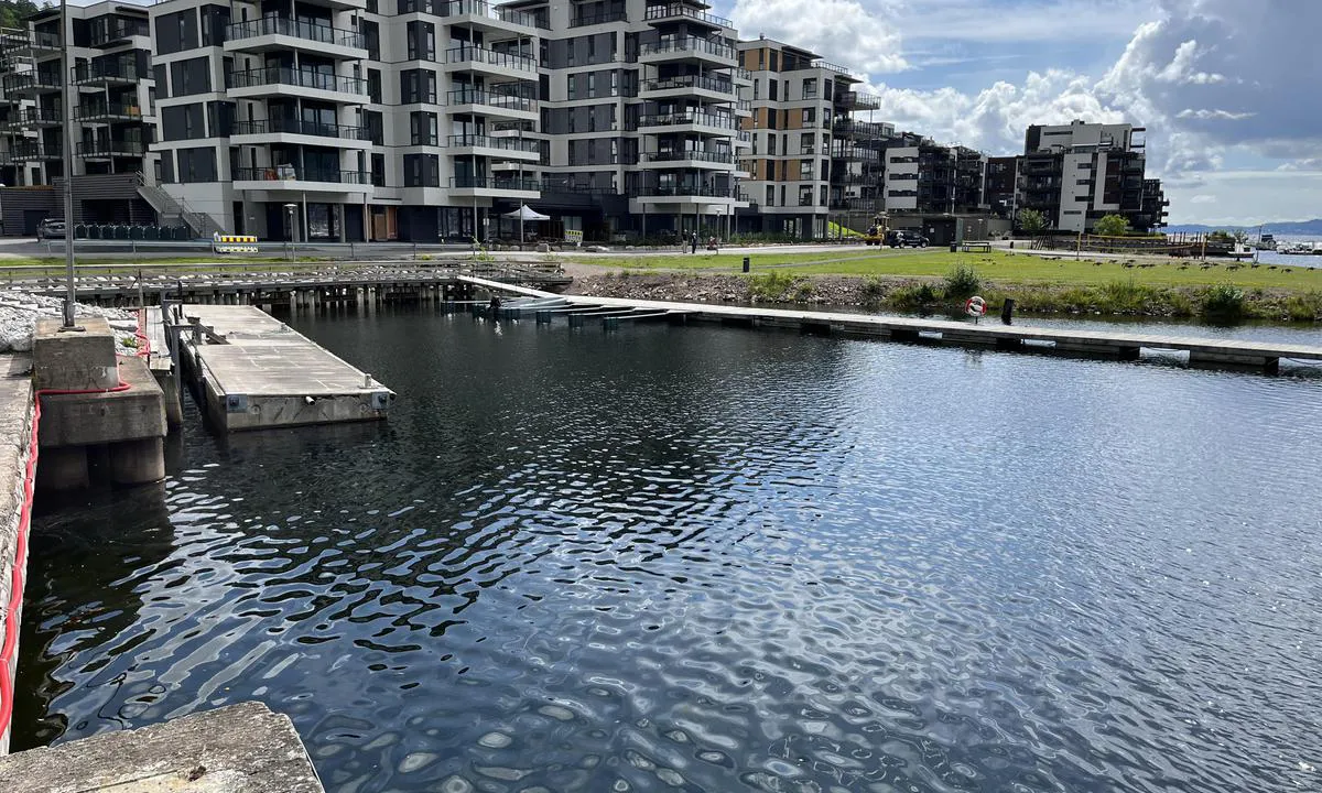 Nordre Jarlsberg Brygge: Gjestebrygge